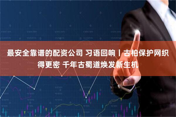 最安全靠谱的配资公司 习语回响丨古柏保护网织得更密 千年古蜀道焕发新生机